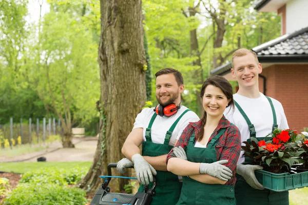 Buford Lawn Care Experts: Healthy Lawns, Happy Customers