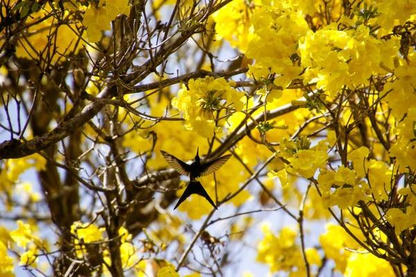 How to Troubleshoot Problems in Live Kolibri Setup