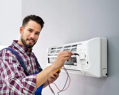 Professional Tree Care and Cutting Experts