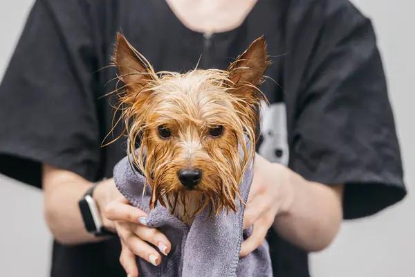 Eco-Friendly Electrical Solutions for Your Home