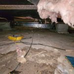 Local Crawlspace Waterproofing in Wilmington Company