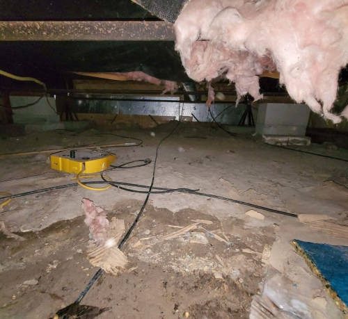 Local Crawlspace Waterproofing in Wilmington Company