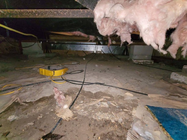 Local Crawlspace Waterproofing in Wilmington Company